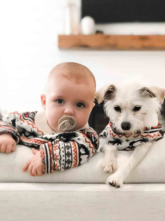 The Great Yukon Sweater (Dog & Kids)