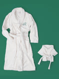 Load image into Gallery viewer, Ivory Embroidered Plush Robe
