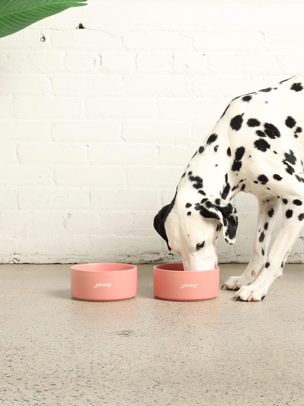 Gimme Ceramic Dog Bowl