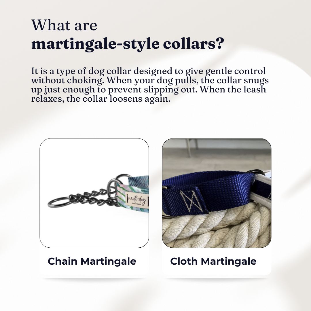 Northstar Celestial Constellation Navy Buckle & Martingale Dog Collar